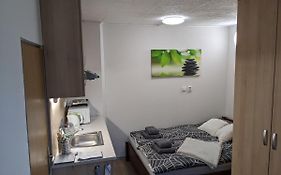 Utulne Studio U Marianskeho Udoli V Brne - Lisni